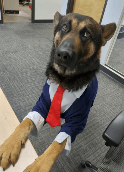 mayor relaxing