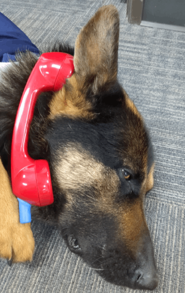 mayor on phone
