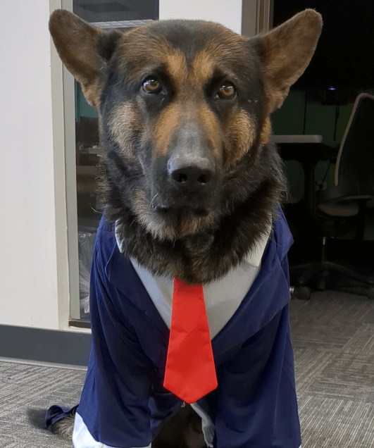 mayoral headshot