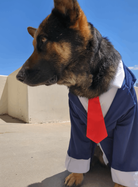 mayoral vision